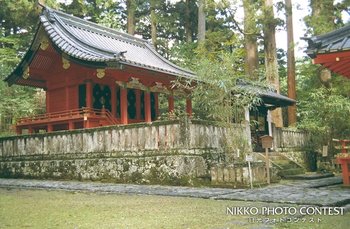 滝尾神社、縁結びの竹