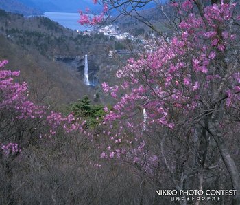 明智平