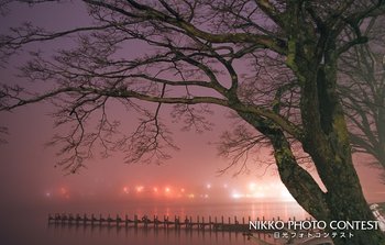 夜霧の中禅寺湖