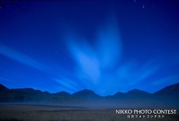 真夜中の湿原