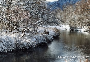 湯川雪景