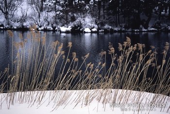 冬の交響詩