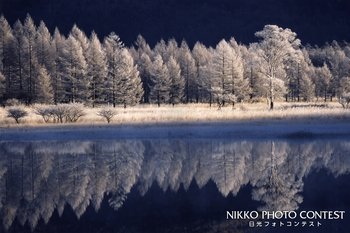 霧氷光る