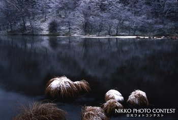 霙（みぞ）れの朝