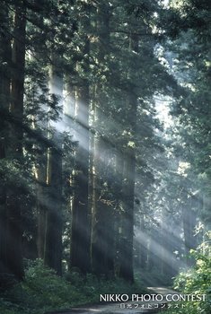 徳川の気