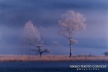 霧氷(1)