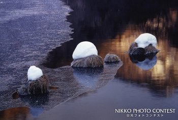 冬の池塘