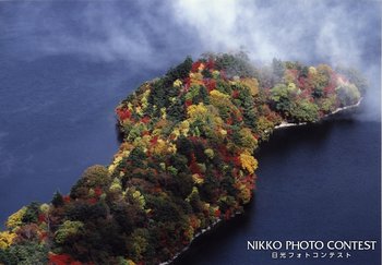 出島の秋