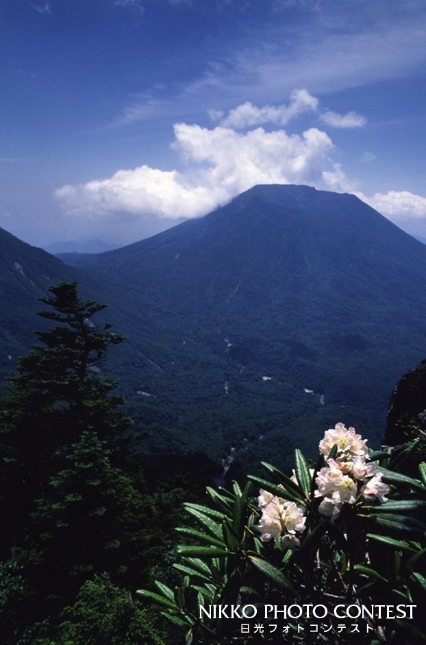 第5回 日光フォトコンテスト [入選] 花咲く太郎山