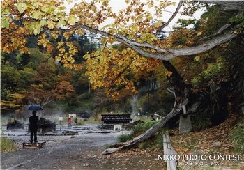 落ち葉しぐれ（湯元温泉）