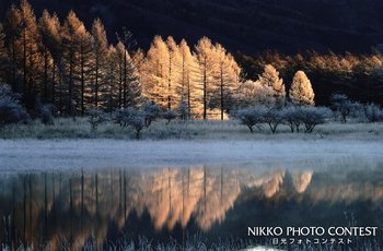 小雪の朝の光芒