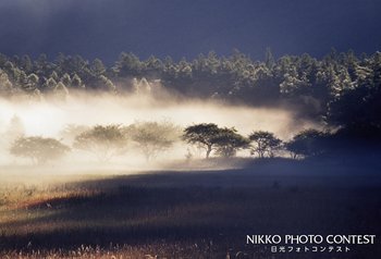 湿原の夜明け