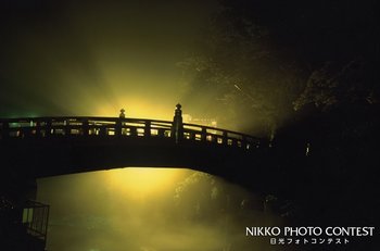 ライトに浮かぶ