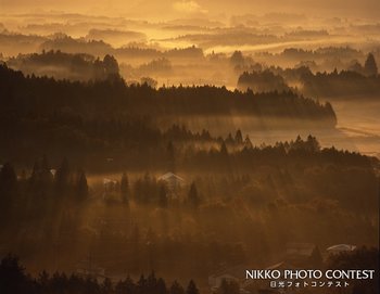 自然の中の団地