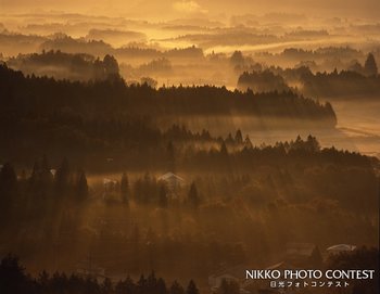 自然の中の団地