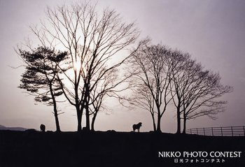 夕陽の丘