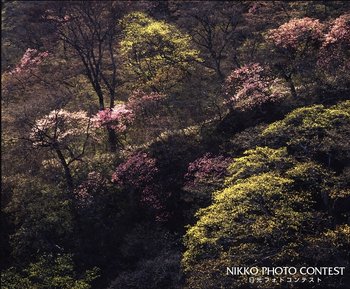 春の六方沢