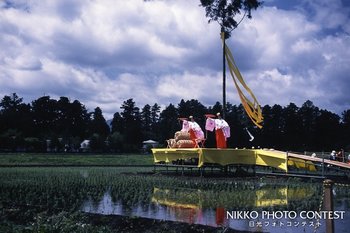 御田植祭