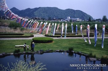 子供の日の大谷川グリーンパーク