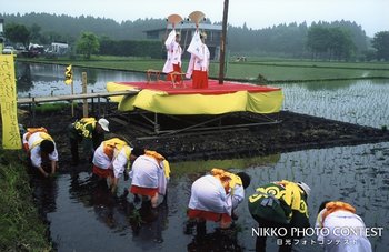 御田植祭