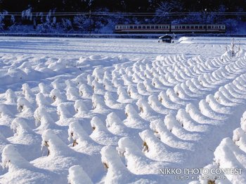 雪の日