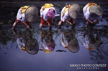 田植祭り