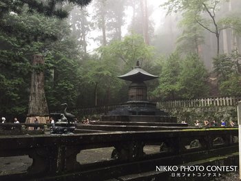 静かな聖域　ある夏の一枚