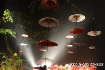 雨の夜景