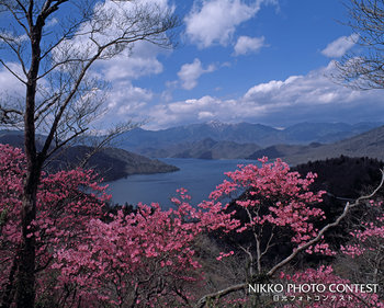 峰山春来