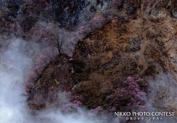 霧厳の華