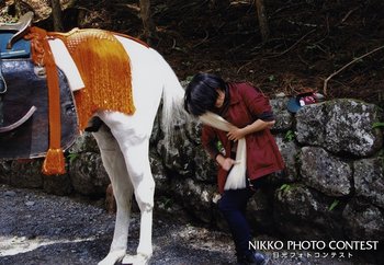 いとし子