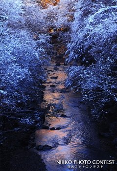 冬渓の朝