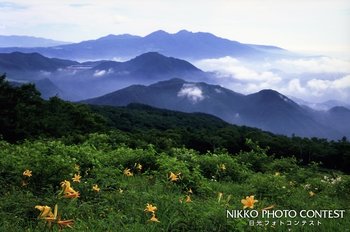 夏の山陵