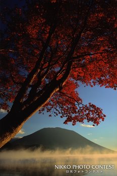 朝日を浴びて