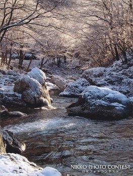 初雪