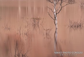 水彩秋模様