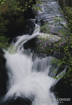 清冽な流れ