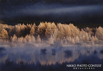 雅景