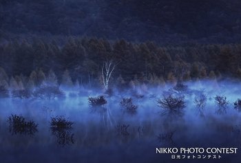 幻想の原