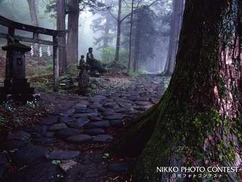 霧の参道