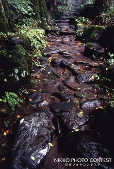 歴史の足跡