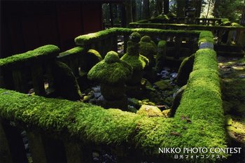 苔生す歴史