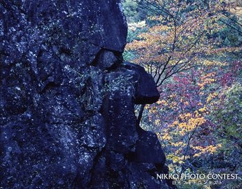 栗山モアイ？