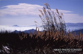 高原の秋