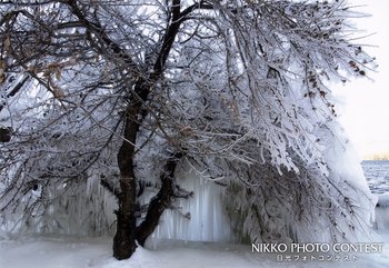 荒天の贈り物