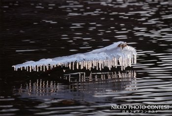 湖畔の宿