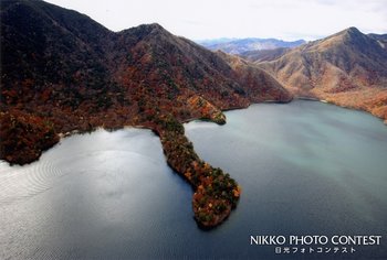 中禅寺湖のラクダ