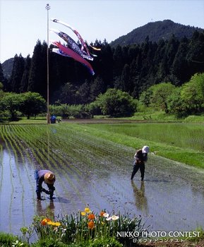 彩る五月