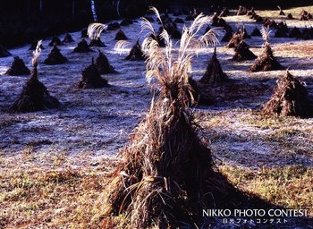 故郷のカヤボッチ