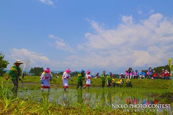 御田植風景